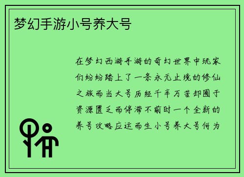 梦幻手游小号养大号