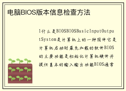电脑BIOS版本信息检查方法